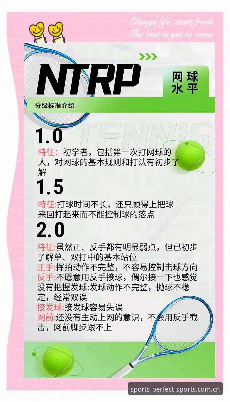 完美体育网球使用指南：从入门到精通的全面介绍
