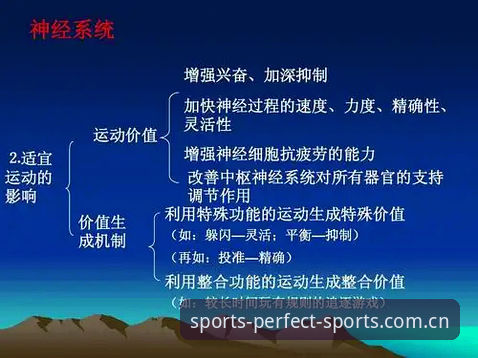 完美体育官网在线登录实用指南：从注册到高效使用的完整流程